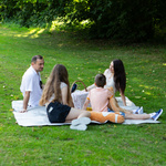 Koc piknikowy Meteor XL 175x200 cm szaro-beżowy