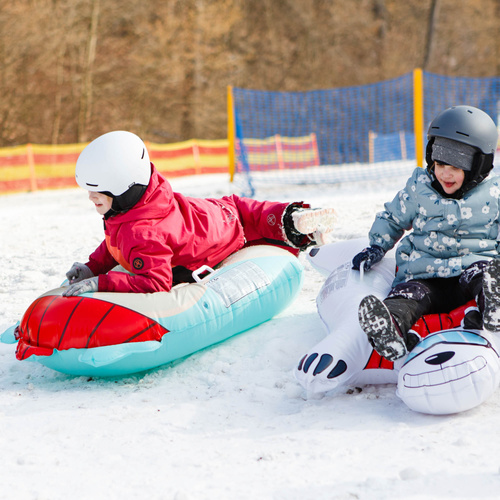 Ślizg śnieżny Polarbear