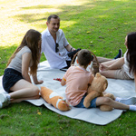 Koc piknikowy Meteor XL 175x200 cm szaro-beżowy