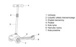 Hulajnoga trójkołowa z kółkami led Meteor Tucan Birds